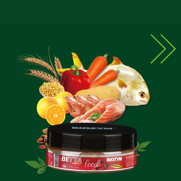 Banner image for: <h4>Special Formula<br/> for Betta fishes.</h4>