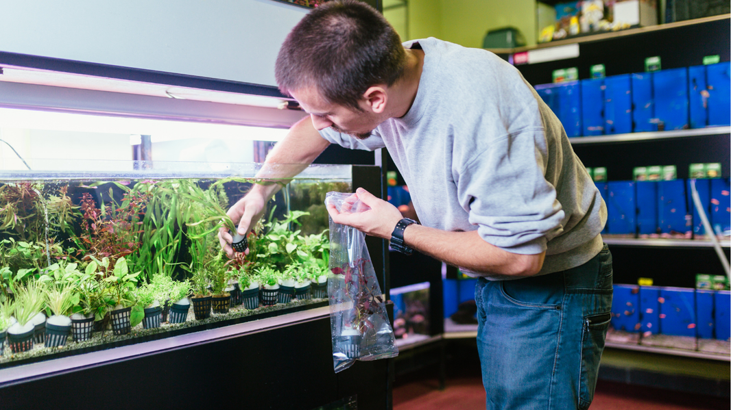 Curated visual reference: Fresh Look at How Often Should I Clean My Fish Tank