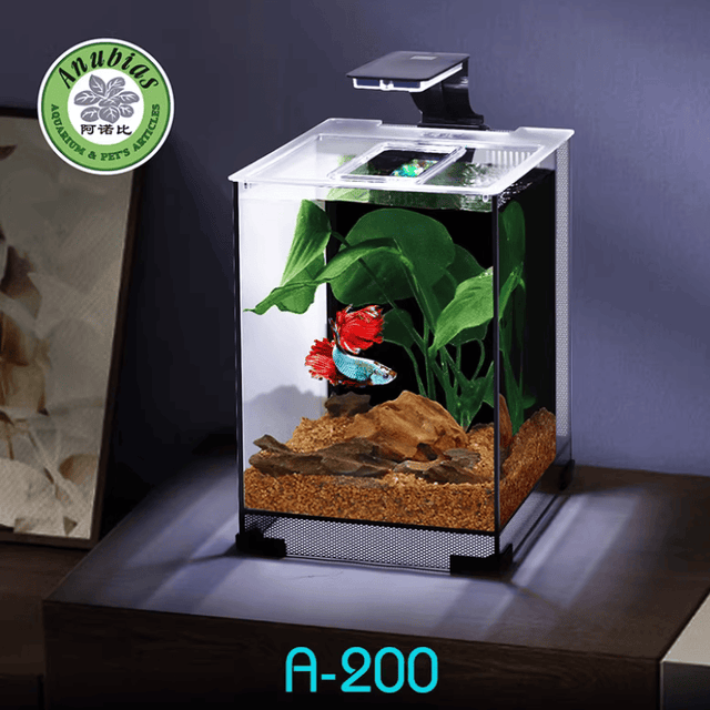 Aquarium Set