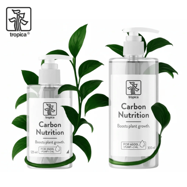 Plant Base Fertilizing System
