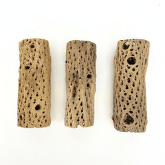 Driftwood