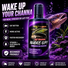 Collection image for: Feed Enhancer & Vitamin