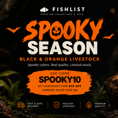 Collection image for: Halloween Black & Orange