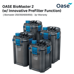 External Canister Filter