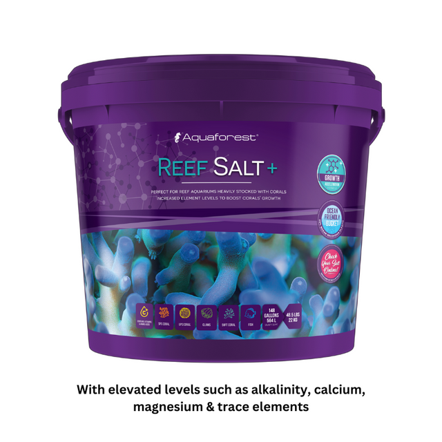 Marine Salt