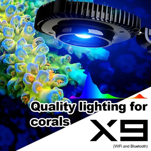 LED Lamp