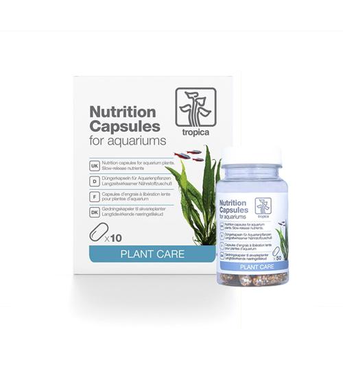 Plant Root Additive