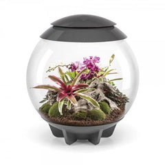 Collection image for: Biorb Air