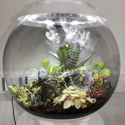 BiOrb Air 60 (Terrarium all in one with misting)
