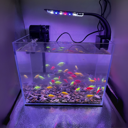 AquaFlow Kit