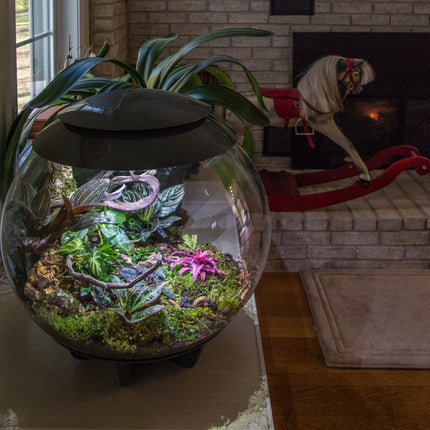 BiOrb Air 60 (Terrarium all in one with misting)