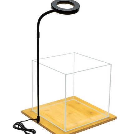 AquaBloom Kit