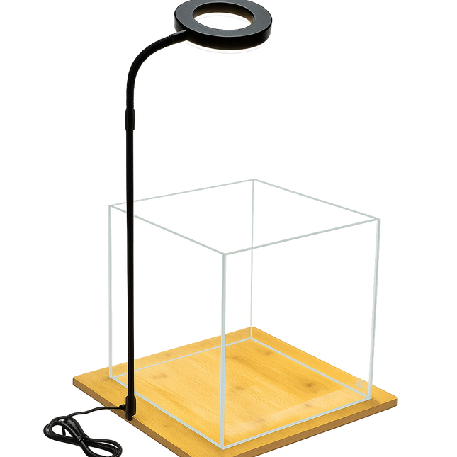 AquaBloom Aquarium Kit