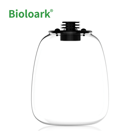BIOLOARK - Bio Bottle Terrarium (QD-172/ QD-205) - Decoration Plant