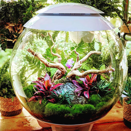 BiOrb Air 60 (Terrarium all in one with misting)