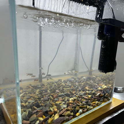 AquaBloom Kit