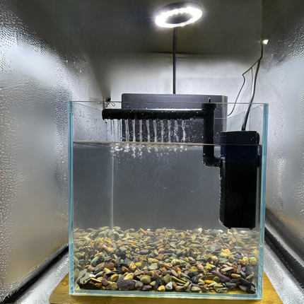 AquaBloom Kit