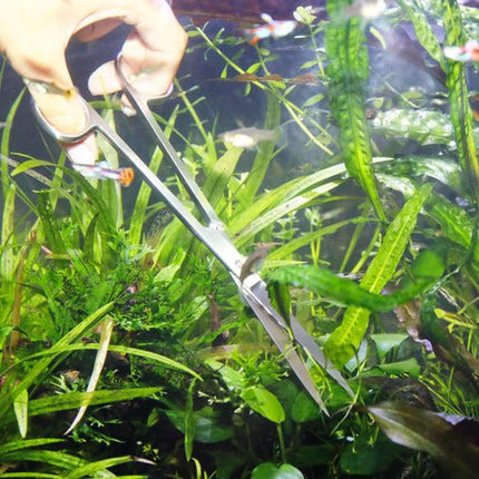 JBL ProScape S Series Aquarium Plant Trimming Scissors Stainless Steel Aquatic Tool