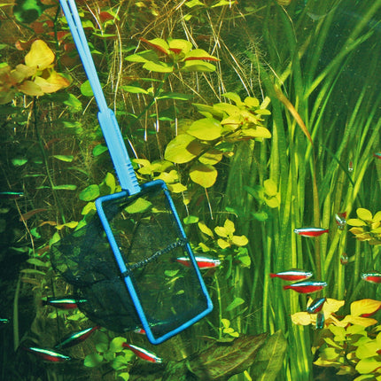 JBL Premium Aquarium Fish Catch Net for Gentle Handling and Easy Use