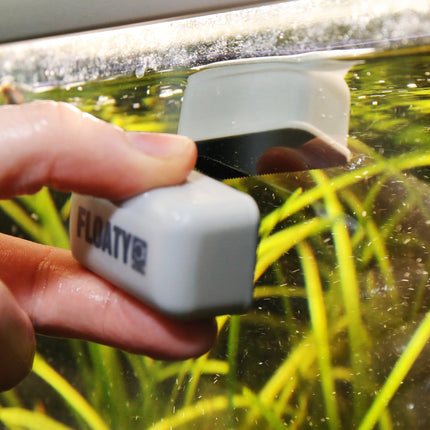 JBL Floaty Mini Magnetic Aquarium Glass Cleaner, Floating Design, Scratches-Free