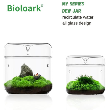 BIOLOARK Dew Glass Cup (Micro Terrarium) MY Series