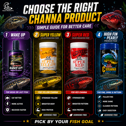 CZ Aqua Channa Wake Up 100ml