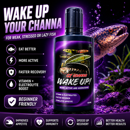 CZ Aqua Channa Wake Up 100ml