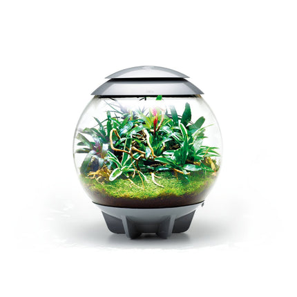 BiOrb Air 60 (Terrarium all in one with misting)