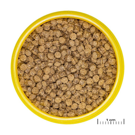 JBL ProNovo FanTail Grano S / M (Colour Enhancing Sinking Pellet For Goldfish)