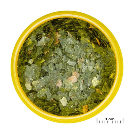 JBL ProNovo Guppy Flakes S: Premium Color-Enhancing Fish Food for Livebearers