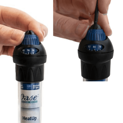 OASE HeatUp Heater - Precision Temperature Control (25-400L Capacity)