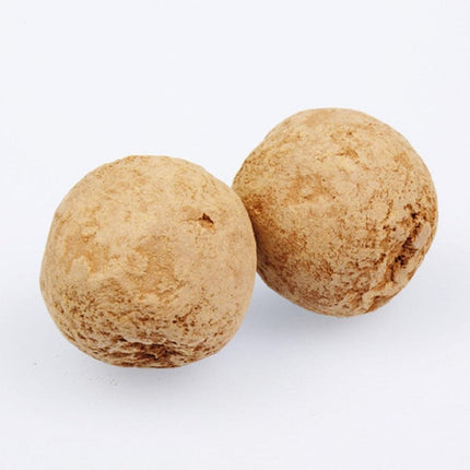 JBL Aquarium Plant Root Fertilizer Balls - 7 Count Nutrient-Rich Substrate