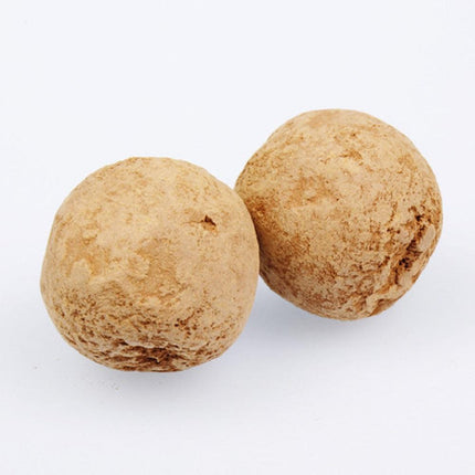 JBL 7+13 Kugeln Balls: Premium Aquatic Plant Root Fertilizer Spheres
