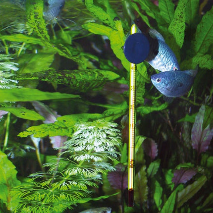 JBL Slim Glass Aquarium Thermometer for Precise Water Temperature Monitoring