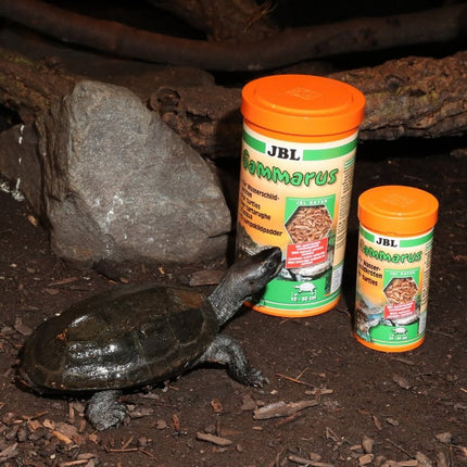 JBL Gammarus Shrimp Premium Turtle & Fish Food: Natural Calcium for Healthy Shells