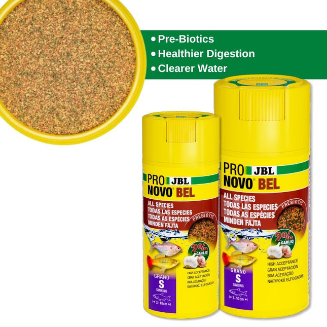 JBL ProNovo Bel Grano S: Prebiotic Fish Food, Healthy Gut, Enhanced Color