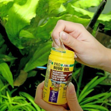 JBL ProNovo Bel Grano S: Premium Prebiotic Sinking Granules for Vibrant Fish