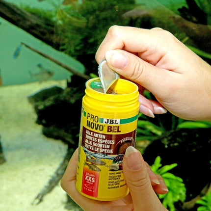 JBL ProNovo Bel Granules XXS: Tiny Fish Prebiotic Aquarium Food, High Acceptance