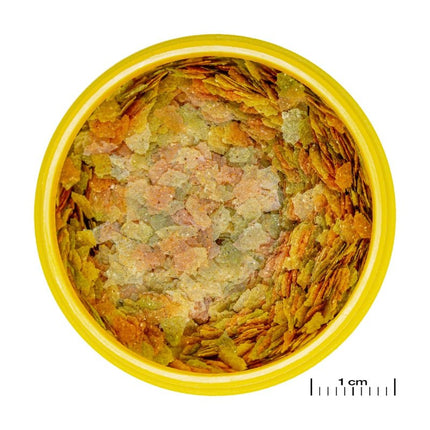 JBL ProNovo Betta Flakes S: Prebiotic Flake Food for Vibrant Betta Health