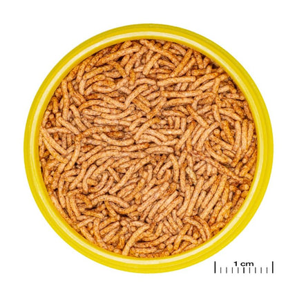 JBL ProNovo Betta Insect Stick S (insect treat for bettas)