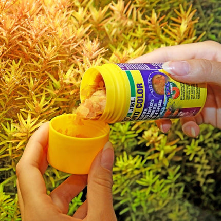 JBL ProNovo Color Flakes M: Premium Flakes for Vibrant Tropical Fish Color