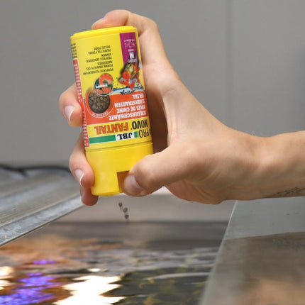 JBL ProNovo FanTail Goldfish Food: Sinking Pellets for Vibrant Color