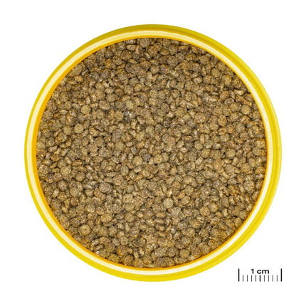 JBL ProNovo Gourami Grano S: Color-Enhancing Sinking Granules for Labyrinth Fish