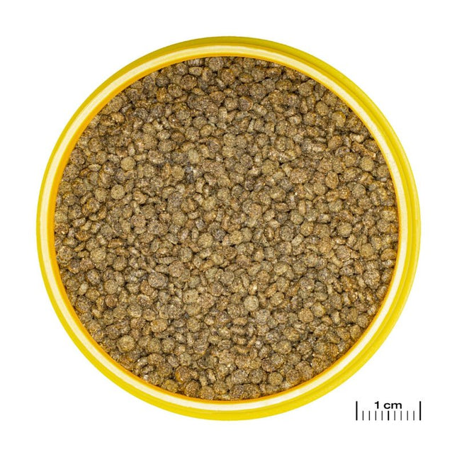 JBL ProNovo Gourami Grano S (Colour Enhancing Diet)