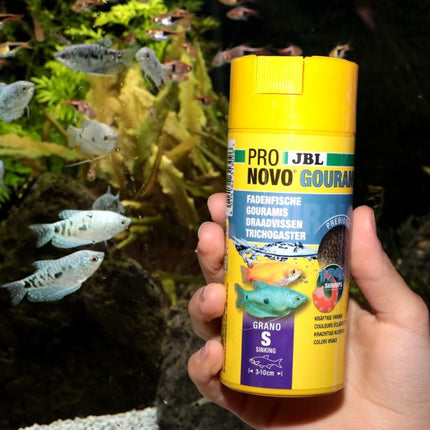 JBL ProNovo Gourami Grano S: Color-Enhancing Sinking Granules for Labyrinth Fish