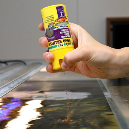 JBL ProNovo Killifish Grano S: Premium Color-Enhancing Granulated Fish Food
