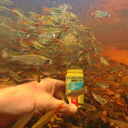 JBL ProNovo Neon Grano XXS Premium Granules for Neon Tetras