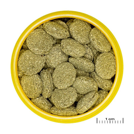 JBL ProNovo Pleco Wafer M: Sinking Wood Fiber Fish Food for Catfish