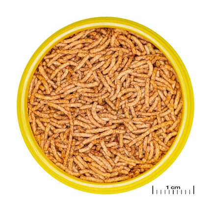 JBL ProNovo Red Insect Sticks S: Premium Goldfish Treat with Insects, Astaxanthin, Prebiotics