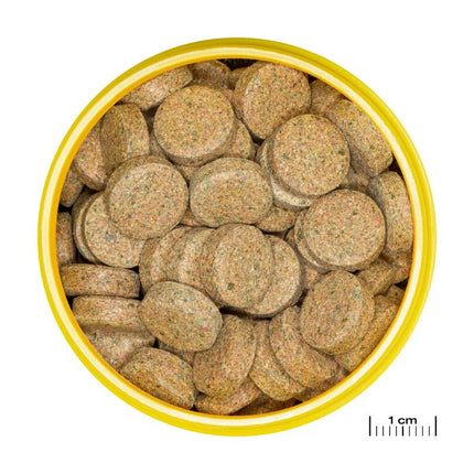 JBL ProNovo Tab M: Premium Sinking Food Tablets for Bottom-Dwelling Fish